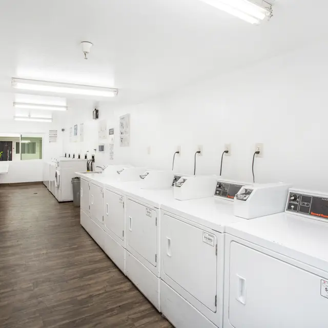 A clean and well-lit laundry room featuring multiple white washing machines and dryers in a row against a white wall.