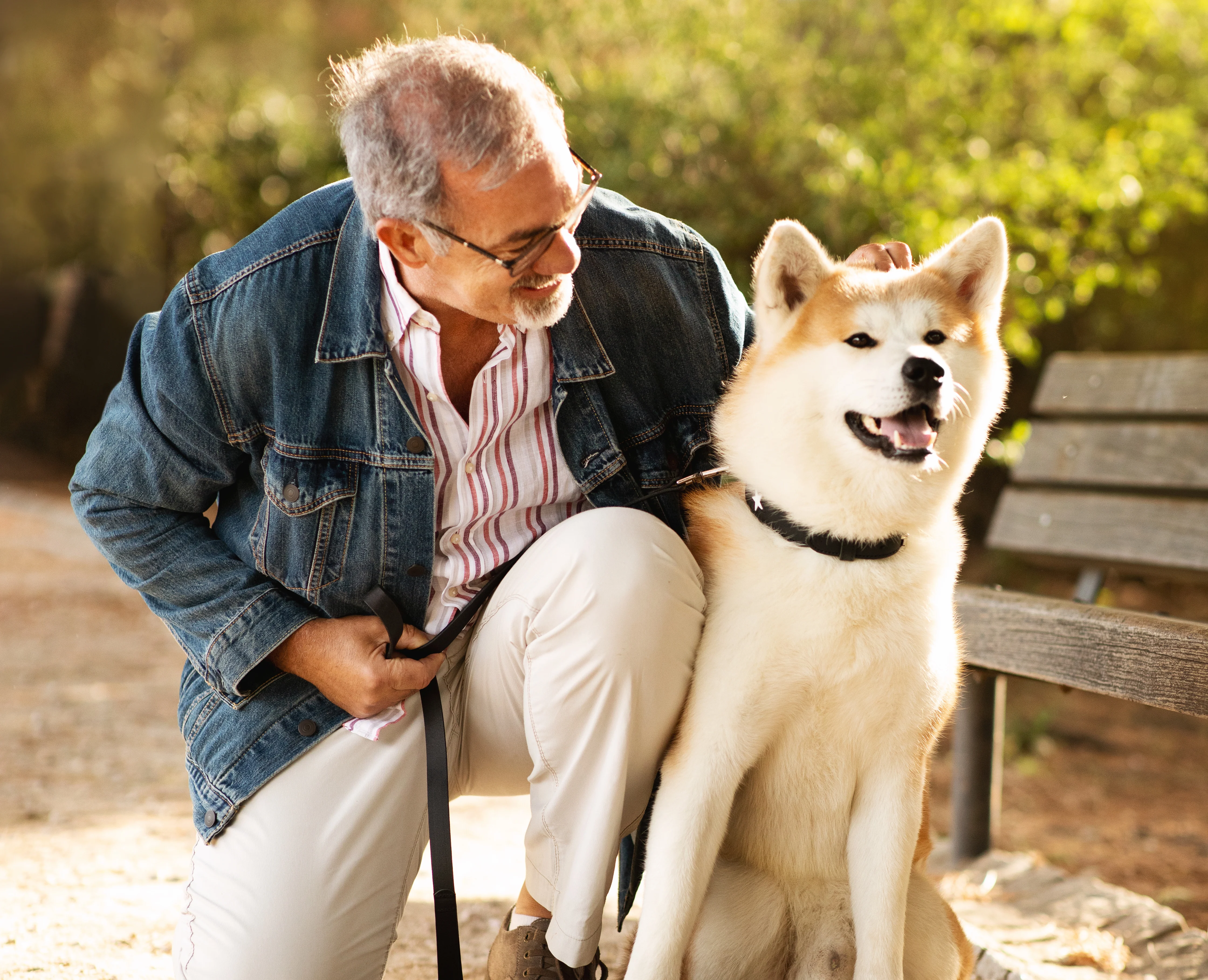 Man and Dog Bonding in the Park An elderly man sitting on a bench, smiling and interacting with a large, fluffy dog beside him in a sunny outdoor setting.