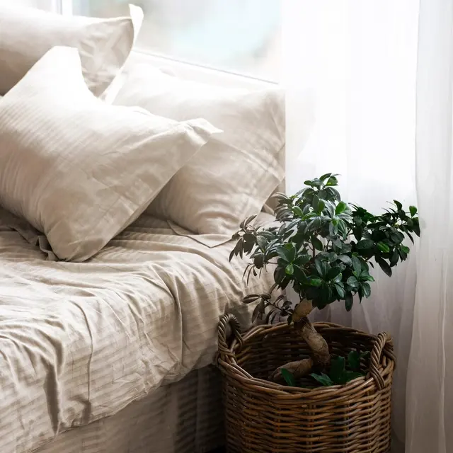 A cozy corner of a bedroom featuring a bed with light-colored bedding and pillows, alongside a woven basket containing a small green plant, with natural light coming through a window.