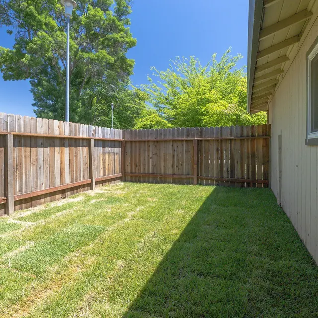 A sunny backyard with a well-maintained lawn and wooden fence.