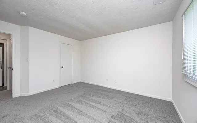 A spacious, empty room with light gray carpet, white walls, and a single window. There's a closet door on one wall and a door leading to another area in the corner.