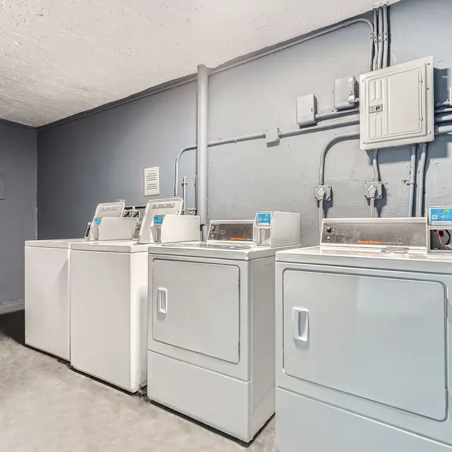 Interior of a laundry room with washing machines and dryers lined up against a wall.