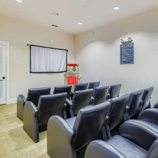 Cozy Movie Theater Room A small, cozy screening room with black seating and a retractable projector screen. A vintage popcorn machine is visible to the side.