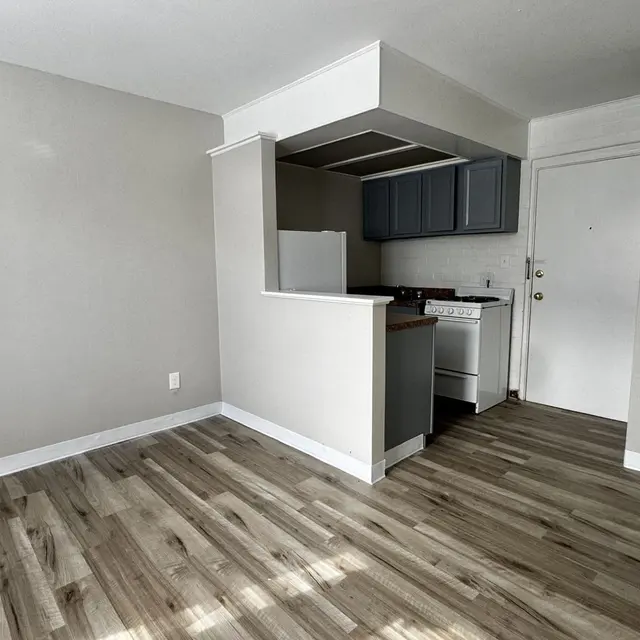Small Apartment Kitchen Area A small apartment interior showcasing a kitchen area with gray cabinets and white appliances. The floor has a light wood finish and the walls are painted in neutral tones.