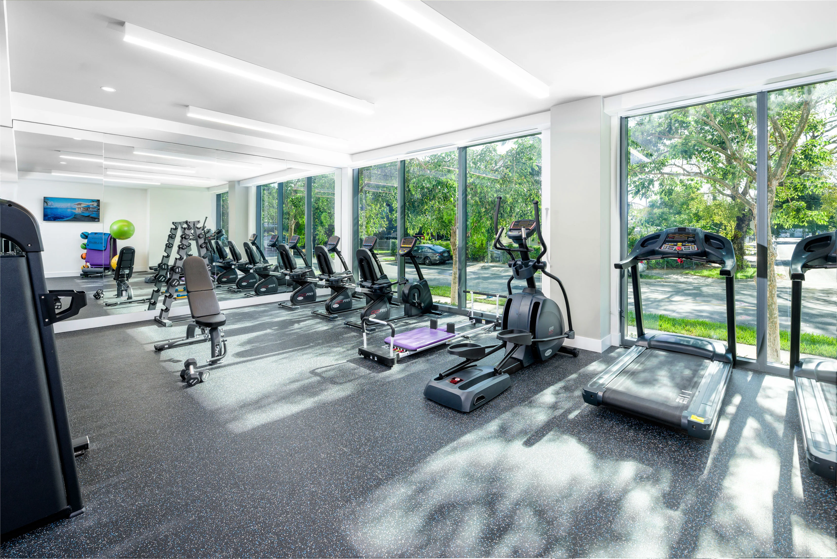 Modern Gym with Natural Light A modern gym interior with exercise equipment including treadmills, elliptical machines, and weights, featuring large windows that allow natural light to fill the space.