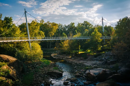 A modern suspension bridge above a serene stream surrounded by lush greenery and trees.
