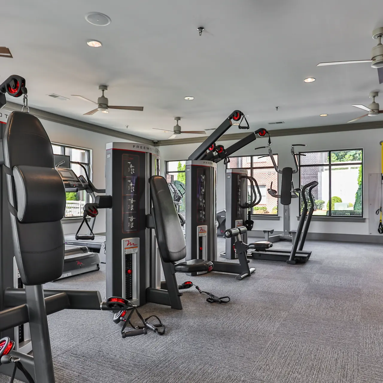 A modern gym interior featuring various weight machines and exercise equipment arranged neatly. There are windows letting in natural light and ceiling fans for ventilation.