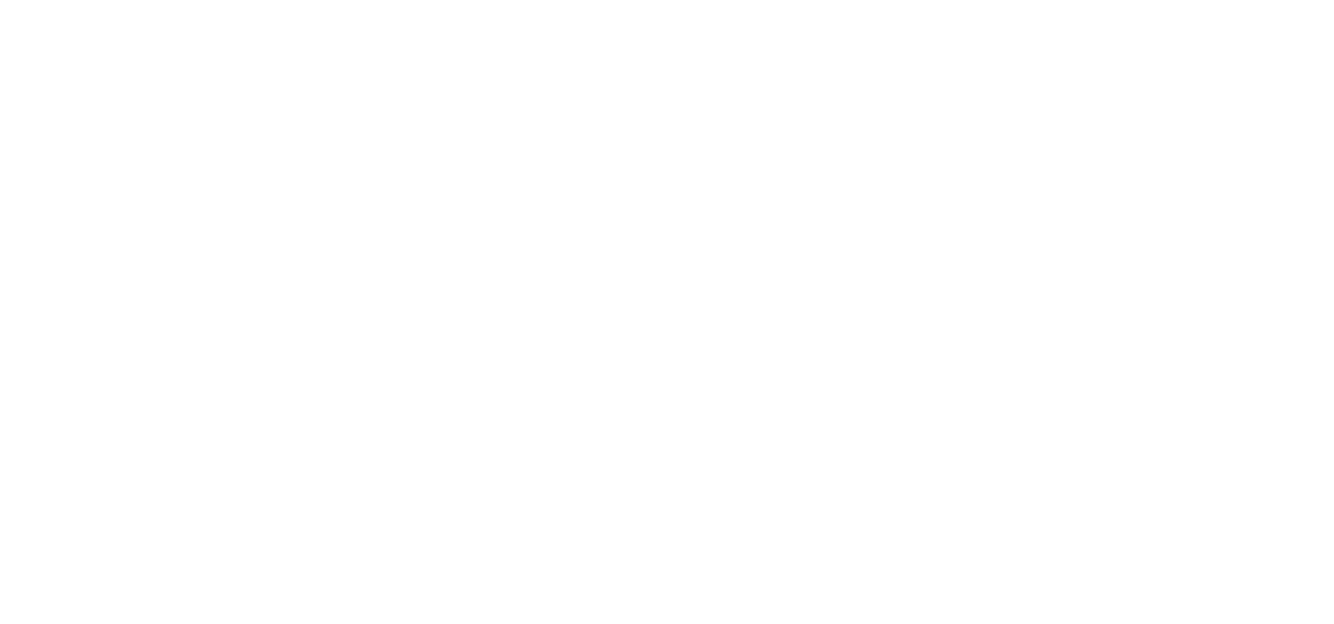 Logo of Novum Plano featuring a stylized leaf design with text beneath.