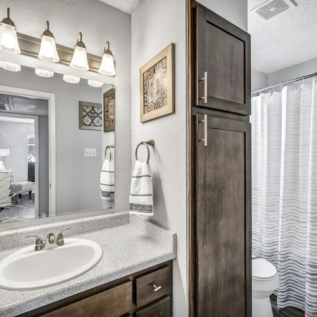 Modern bathroom featuring a sink, large mirror, light fixtures, shower curtain, and stylish decor, with warm wood accents.