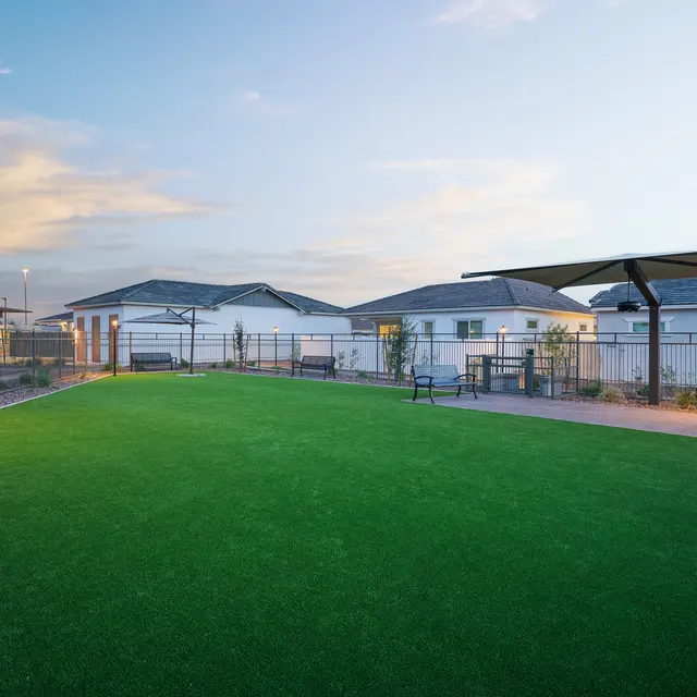 A spacious green lawn area in a residential setting, surrounded by fences and buildings. The sky showcases a gradient of colors from sunset, and there are benches and shaded areas.