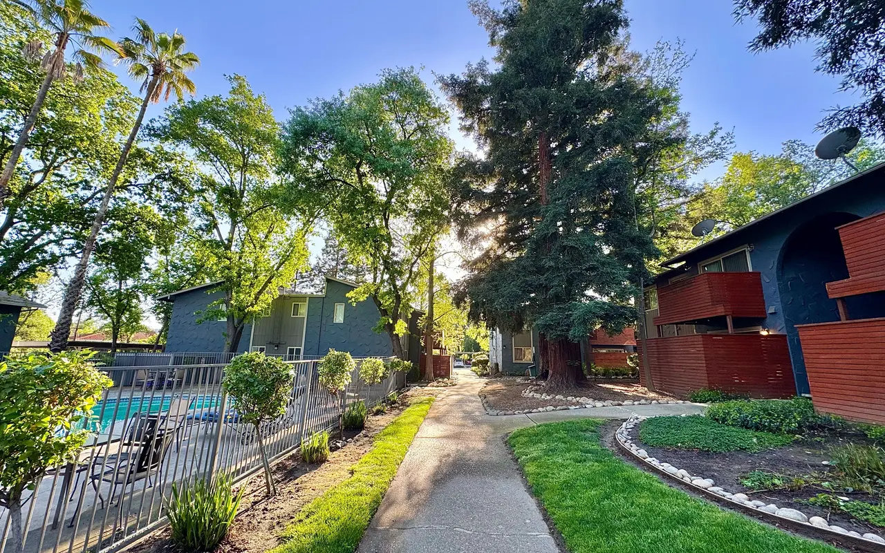 A picturesque pathway leading through a residential area with trees and a swimming pool in view.