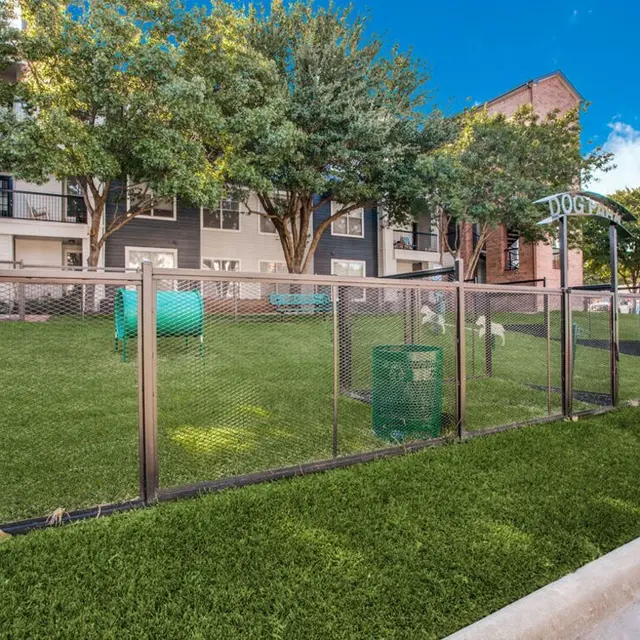 A fenced dog park with artificial turf, featuring agility equipment and trees under a blue sky.