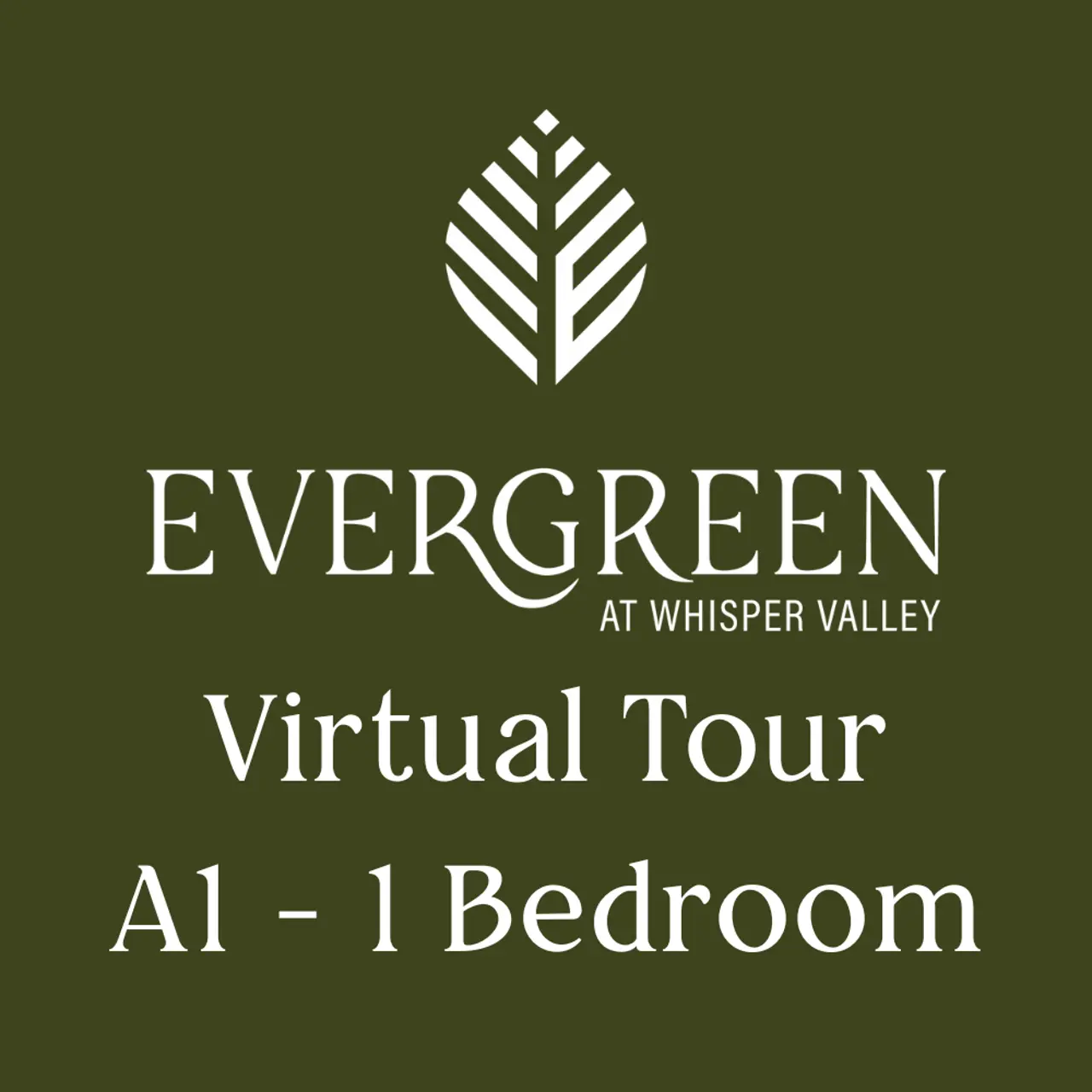 Virtual Tour - A1