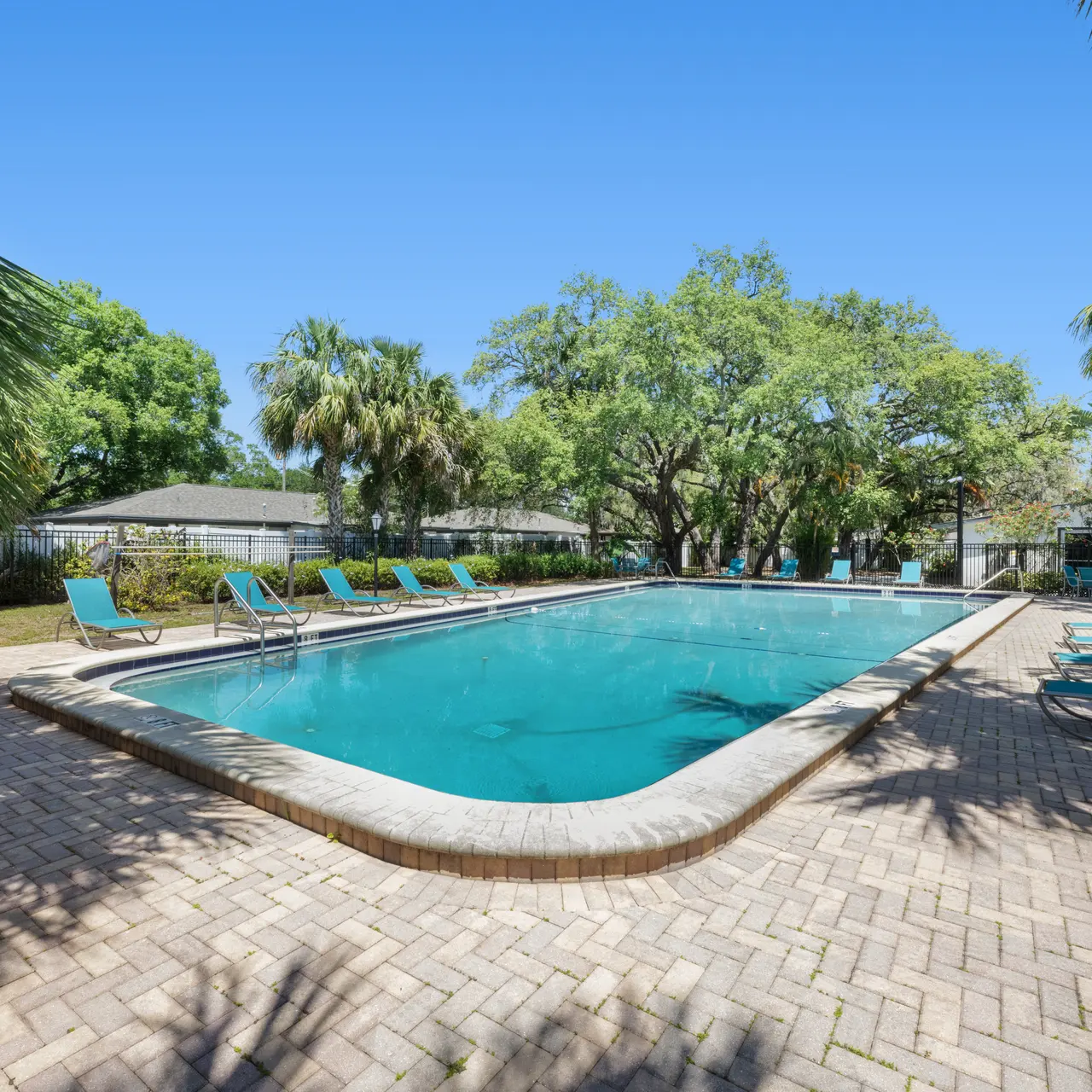 A clear swimming pool surrounded by lounge chairs, framed by palm trees and green foliage under a sunny sky.