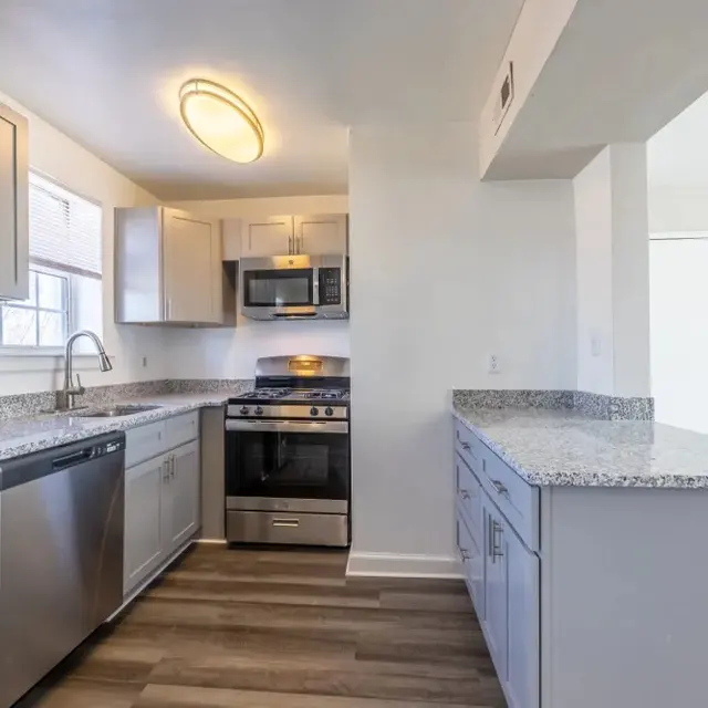 A modern kitchen featuring stainless steel appliances, gray cabinets, and a spacious countertop.