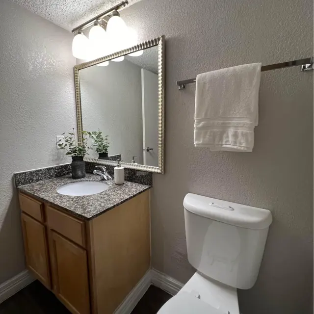 A small bathroom featuring a granite countertop vanity with a circular sink, a mirror, a toilet, and a towel rack with a white towel. The walls are painted in light gray, and there's a small plant on the countertop.
