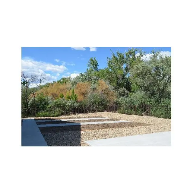An outdoor landscape with a gravel area and surrounding greenery, featuring trees and a blue sky with clouds.
