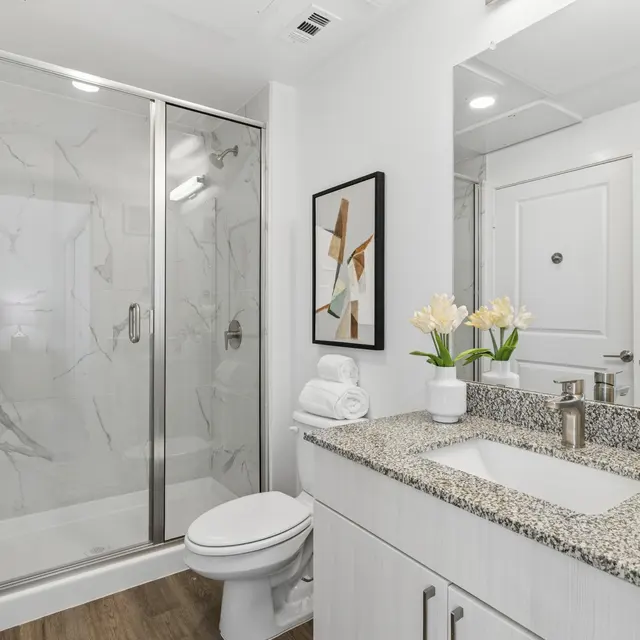 Modern Bathroom Design A modern bathroom with a glass shower enclosure, a granite countertop, and a clean aesthetic.