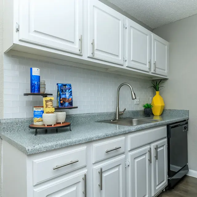 A modern kitchen with white cabinets and a sleek granite countertop. There is a sink, dishwashing machine, and decorative items like a yellow vase and potted plant.