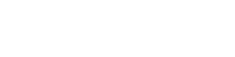 Becovic Management Group