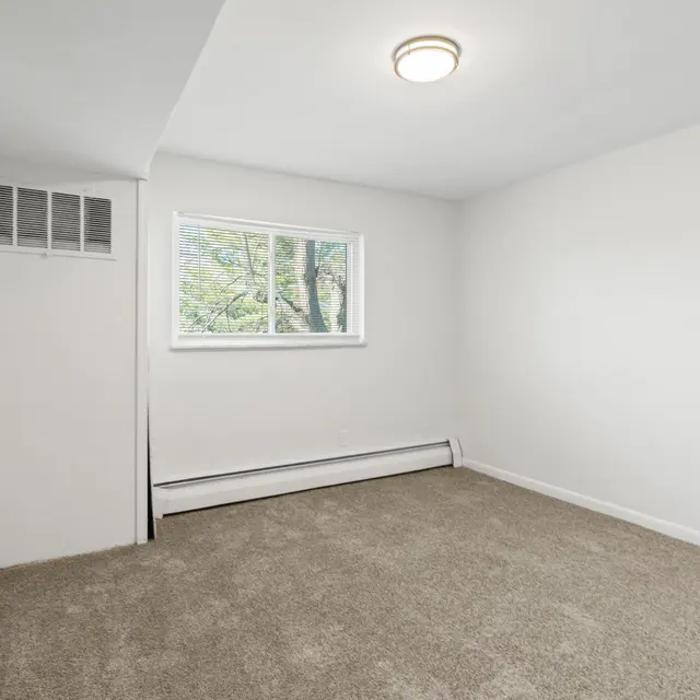 An empty room with beige carpet, a window with greenery outside, and a ceiling light.