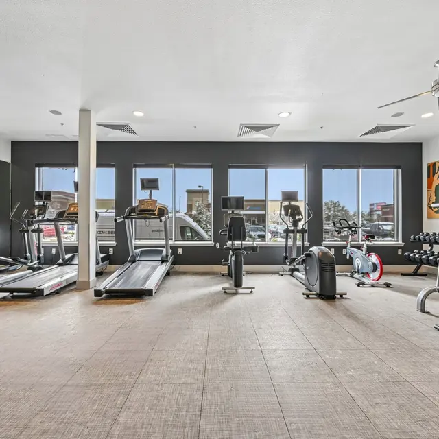 Spacious Gym Interior A gym interior with various exercise equipment including treadmills, stationary bikes, weight machines, and free weights. Large windows allow natural light to fill the space.