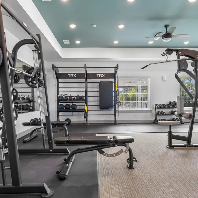 A modern gym interior featuring various exercise machines, weights, and a TRX setup. Large windows allow natural light to fill the space, creating an inviting workout environment.