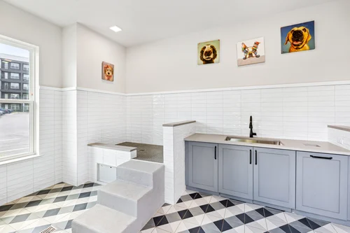 Bright and Functional Pet Space A modern, bright space with light-colored walls, tiled floor featuring a diamond pattern, a small set of stairs leading to a raised platform, and a kitchenette area with gray cabinetry. Wall art depicting dogs is displayed above.