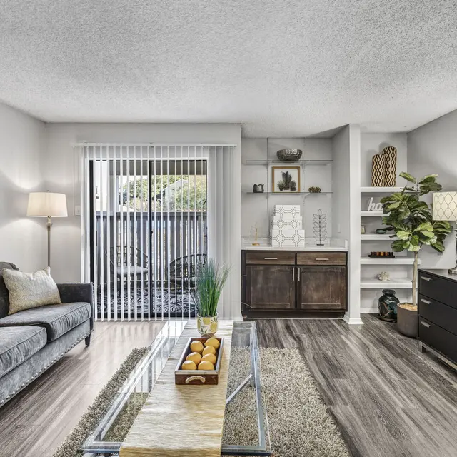 Modern living room featuring a dark sofa, wooden furniture, decorative shelves, and natural light from sliding glass doors.