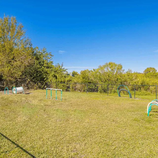 Spacious Dog Agility Course A spacious dog agility course featuring various training equipment like hoops and tunnels in a grassy area surrounded by trees and a fence under a clear blue sky.