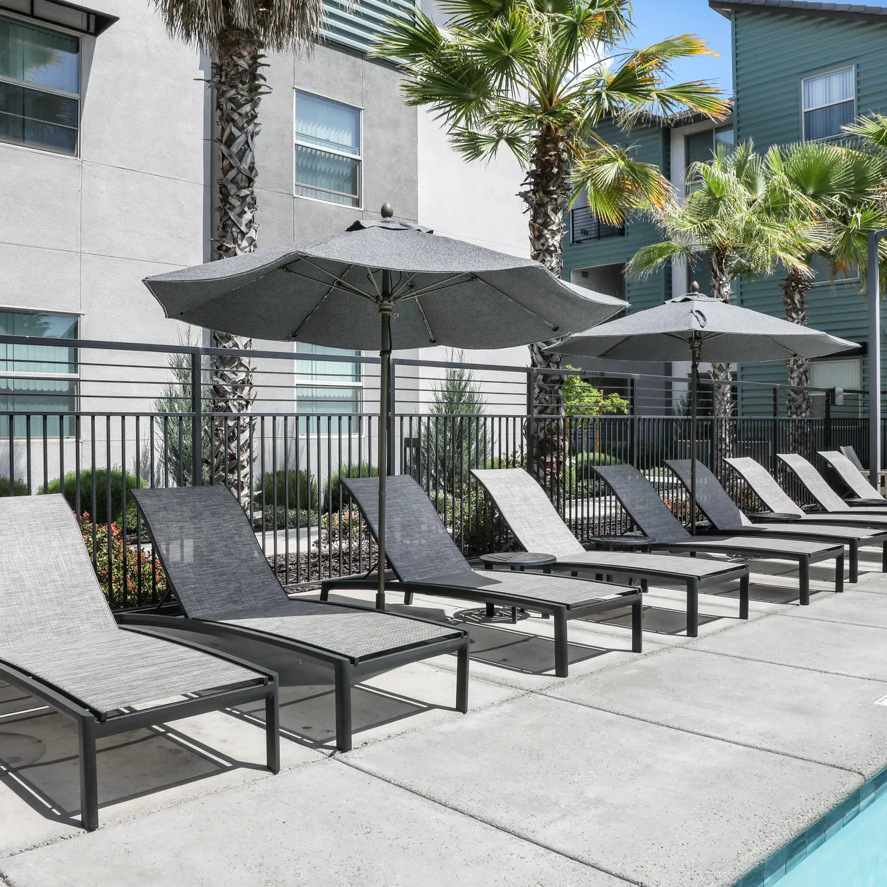 An outdoor swimming pool area featuring several gray lounge chairs and umbrellas, surrounded by palm trees and modern buildings.