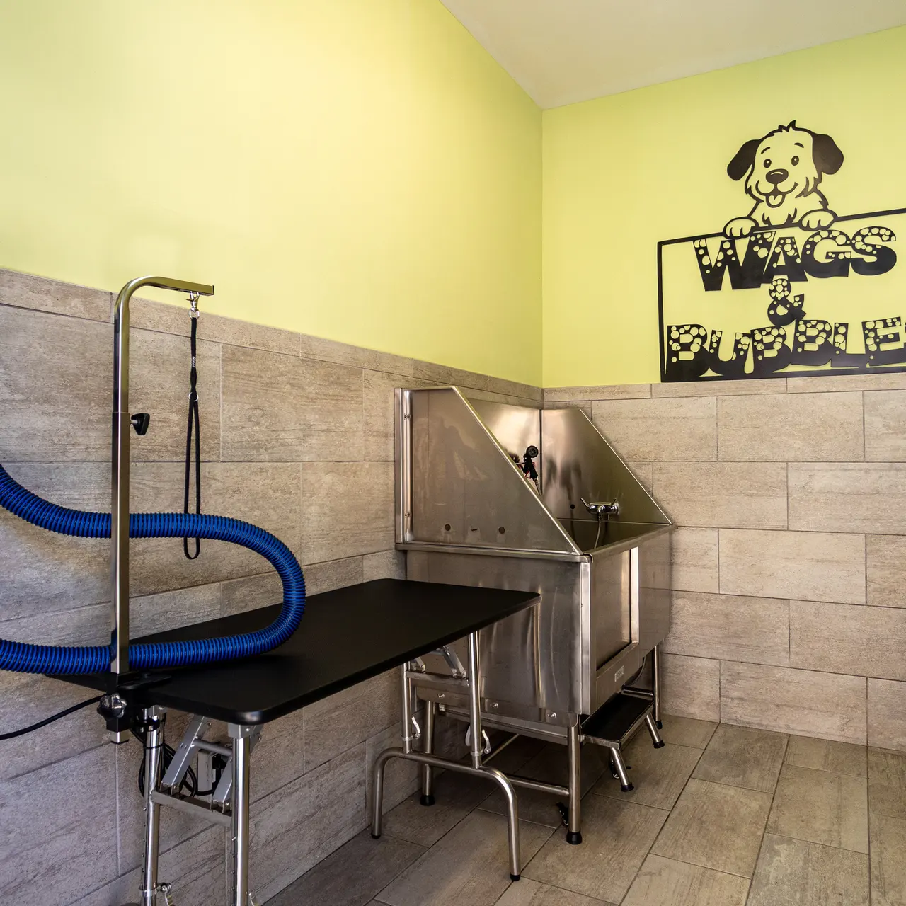 Dog Grooming Area A dog grooming area featuring a washing station and a grooming table.