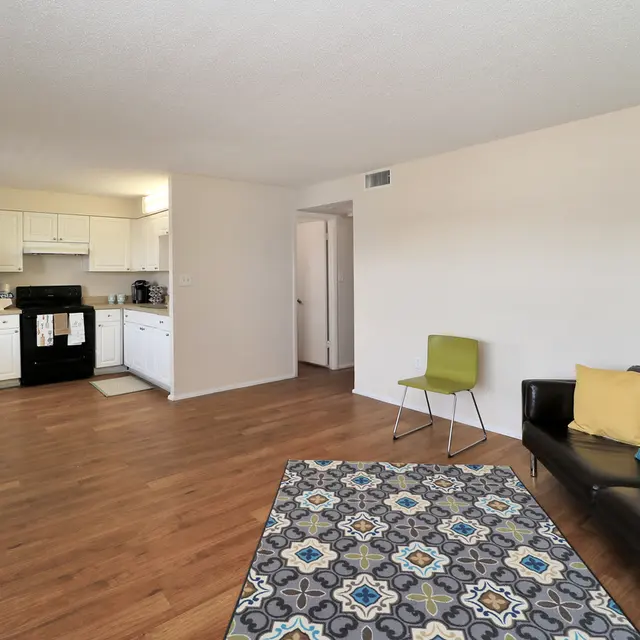 A spacious living area with a black leather sofa, a patterned rug, a green chair, and a kitchen area in the background featuring black appliances and white cabinets.