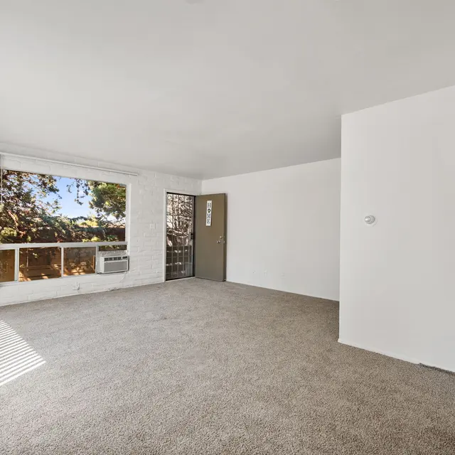 A bright and empty living room with a large window letting in natural light, beige carpeting, and a smooth white wall.