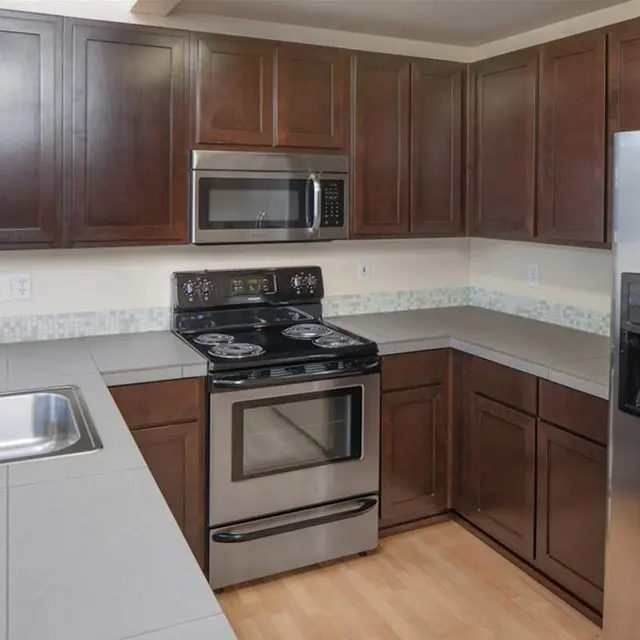 A modern kitchen featuring dark wooden cabinets, stainless steel appliances, and a sleek countertop.