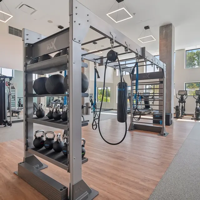 Modern Gym Interior Interior view of a modern gym featuring various strength training equipment and cardio machines.