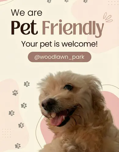 Pet Friendly Announcement at Woodlawn Park A cheerful dog with a fluffy coat, smiling against a soft pastel background featuring paw prints and abstract shapes. The text indicates a pet-friendly space.