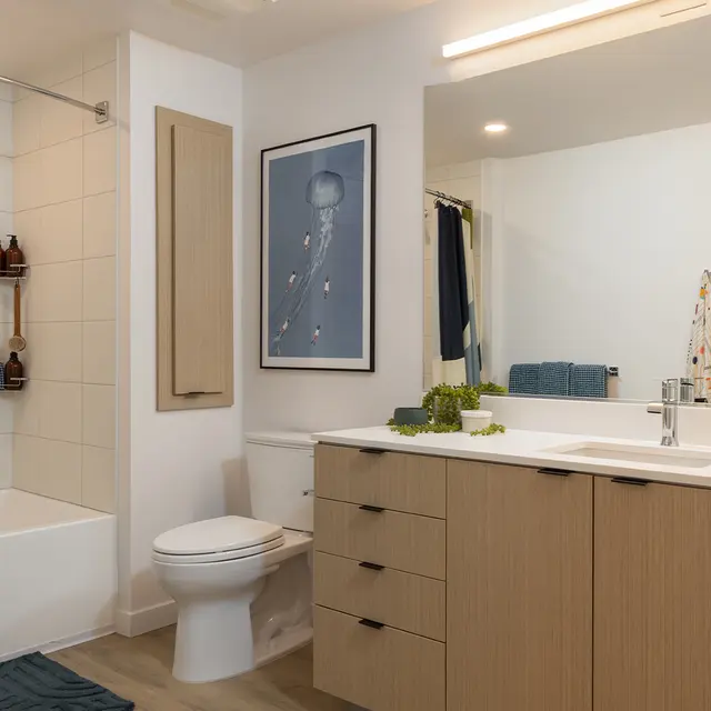 A modern bathroom featuring neutral tones, a bathtub with a shower curtain, wooden cabinetry, and a large mirror.