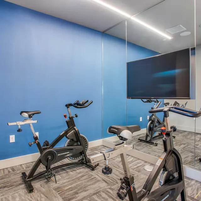 A modern home gym featuring two stationary bikes, a rowing machine, and a large mirror on a blue wall. A TV is mounted on the wall for workouts.