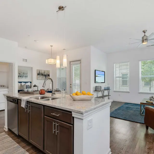 A modern open-concept kitchen and living room area showcasing dark cabinetry, stainless steel appliances, and a cozy seating arrangement with a brown leather couch.