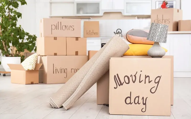 A bright, organized room filled with labeled cardboard boxes, including ones for 'pillows', 'dishes', 'kitchen', and 'living room'. A large box is prominently labeled 'Moving day'.