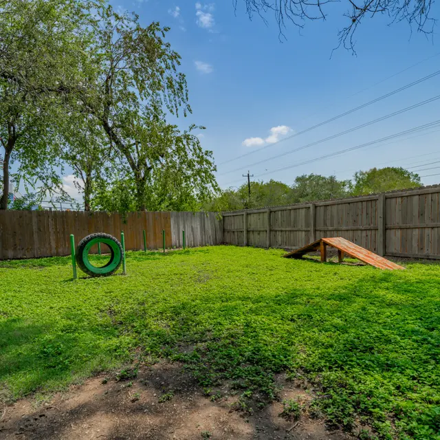 A spacious backyard covered with green grass and clover. There is a wooden ramp and a circular hoop used for pet agility training. The yard is enclosed by wooden fences and has a few trees in the background under a clear blue sky.