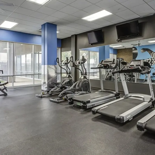 Interior view of a modern gym featuring various workout equipment including treadmills, elliptical machines, and a weight machine, with large windows allowing natural light to illuminate the space.