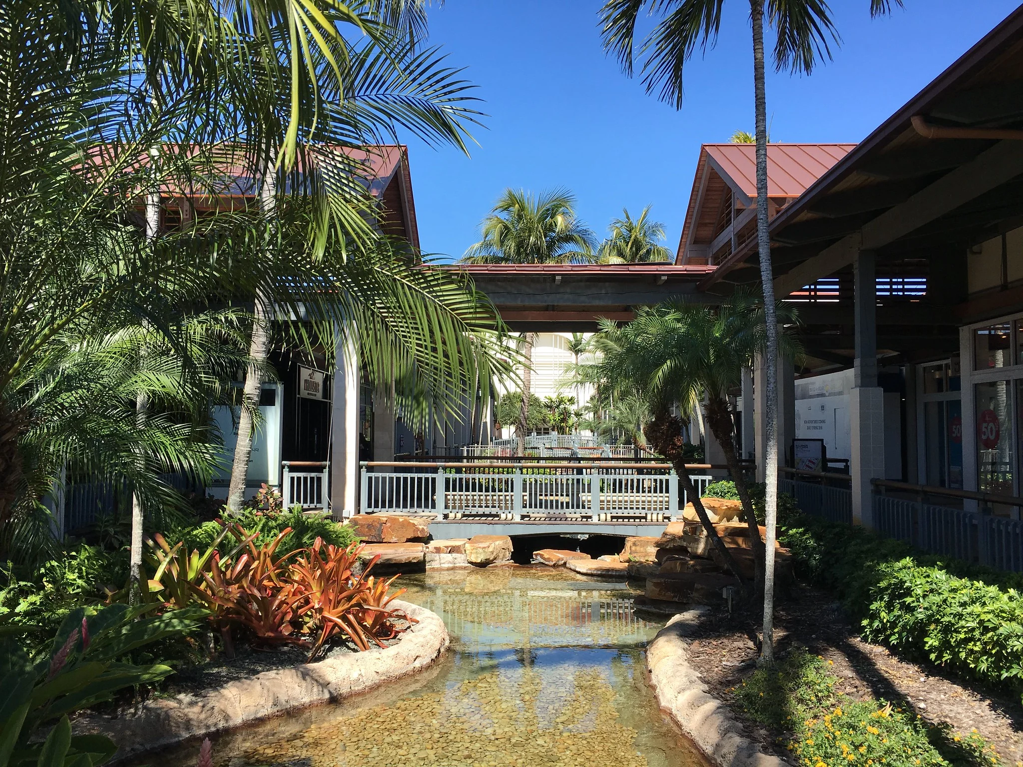 A tropical community space with palm trees and a small water feature surrounded by lush landscaping.