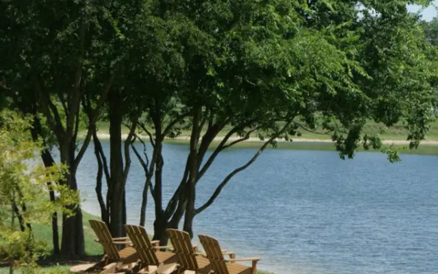 Lakeside Relaxation Relaxing lakeside view with wooden lounge chairs under trees.