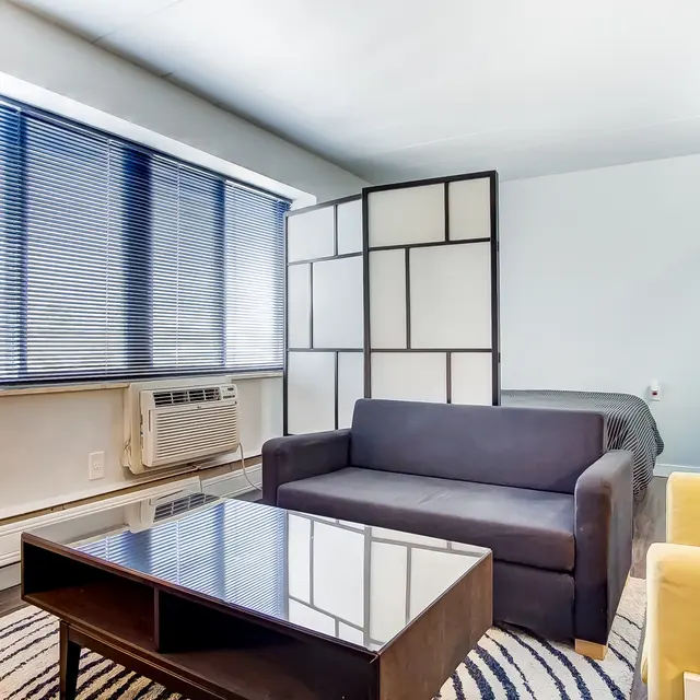 A modern living room featuring a dark sofa, a wooden coffee table on a striped rug, and a bright window with shades. A partition divides the space, with a bed visible in the background.