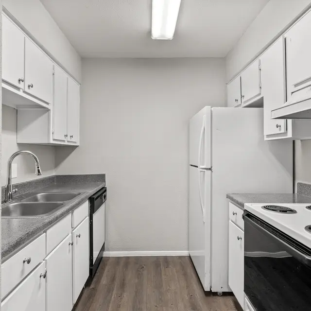 Holly - FP 2A2-Resized Small-9.jpg