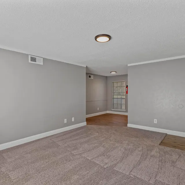 An interior view of a living room with light gray walls and carpet flooring. There is a ceiling light fixture and an entrance visible leading to another room or outdoor area.