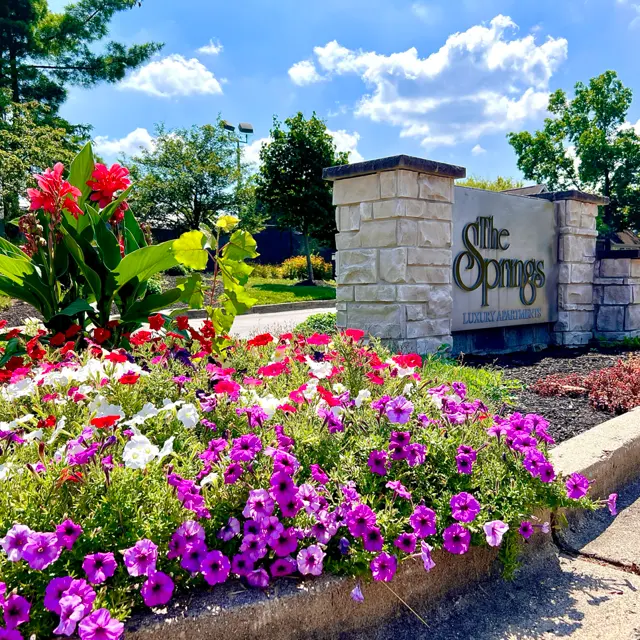 A vibrant flower bed featuring purple, pink, and white petunias and other plants, alongside a stone monument that reads 'The Springs' against a backdrop of clear blue skies and scattered clouds.
