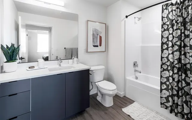 Contemporary Bathroom Interior A modern bathroom featuring a double sink vanity, a white bathtub with a shower curtain, and a toilet. The decor includes a potted plant and framed artwork.